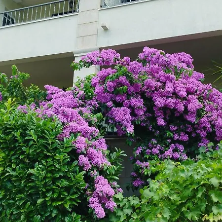 Puharic Apartamento