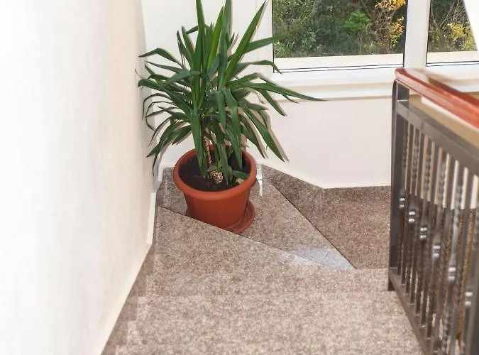 Apartment Puharic