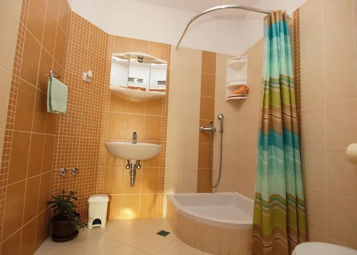 Apartment Puharic *