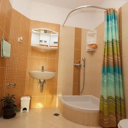 Apartment Vila Puharic *